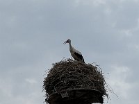 Radtour Oder Ostsee-021